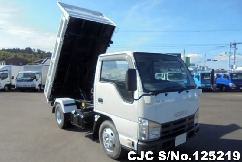 Isuzu / Elf 2010