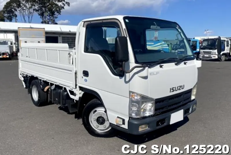 Isuzu / Elf 2010