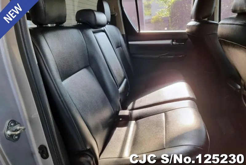 Toyota Hilux in Gray for Sale Image 9