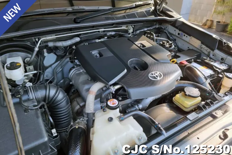 Toyota Hilux in Gray for Sale Image 11