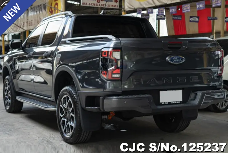 Ford Ranger in Gray for Sale Image 1