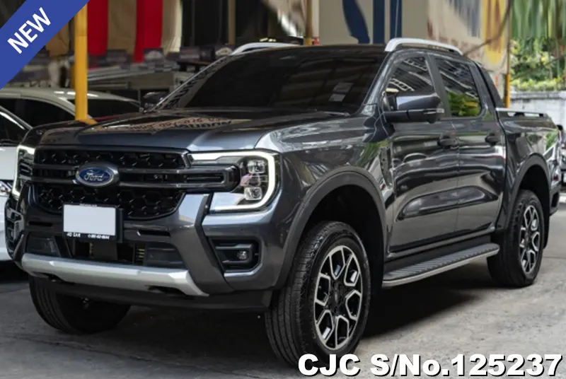 Ford Ranger in Gray for Sale Image 3