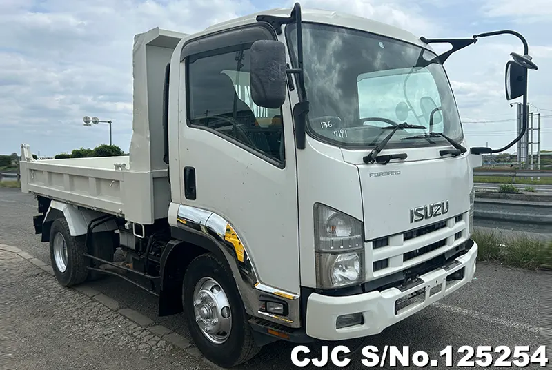 Isuzu / Forward 2008