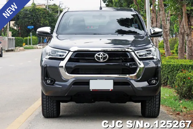 Toyota Hilux in Gray for Sale Image 4