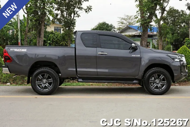 Toyota Hilux in Gray for Sale Image 6