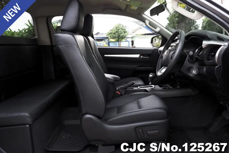 Toyota Hilux in Gray for Sale Image 9