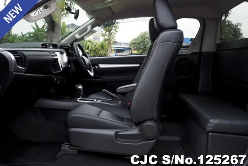 Toyota Hilux in Gray for Sale Image 10