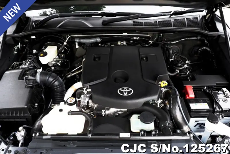 Toyota Hilux in Gray for Sale Image 11