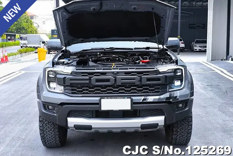 Ford Ranger in Gray for Sale Image 16