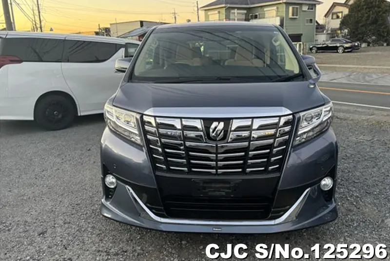 Toyota Alphard in Blue for Sale Image 3