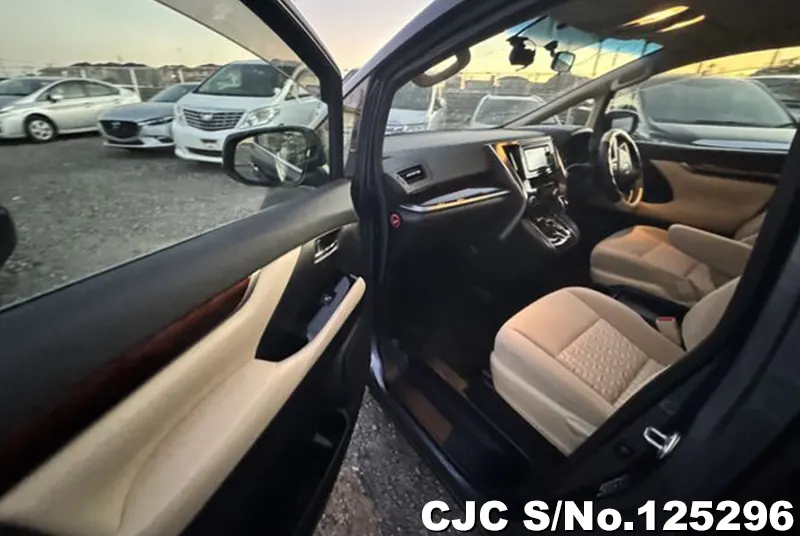 Toyota Alphard in Blue for Sale Image 9
