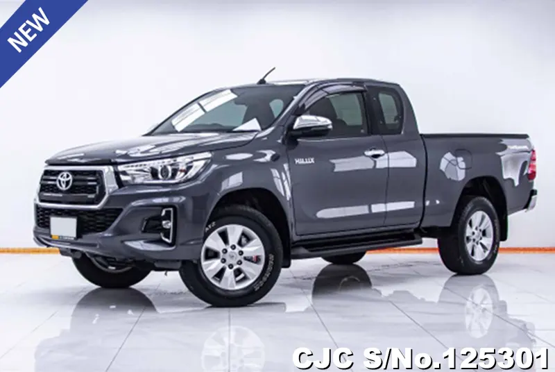 Toyota Hilux in Gray for Sale Image 1