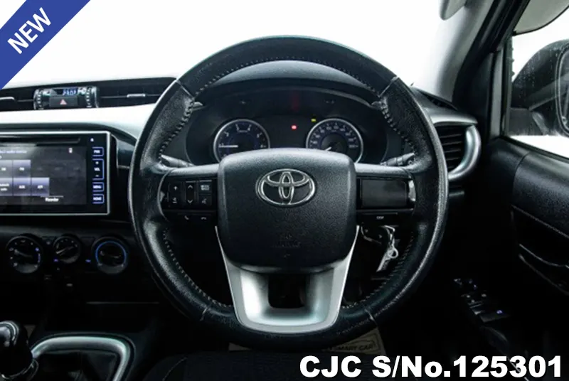 Toyota Hilux in Gray for Sale Image 9