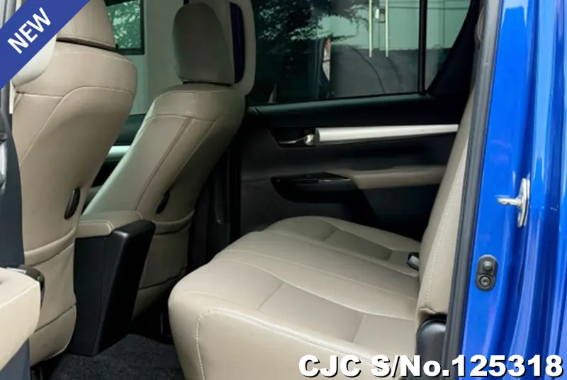 Toyota Hilux in Blue for Sale Image 10