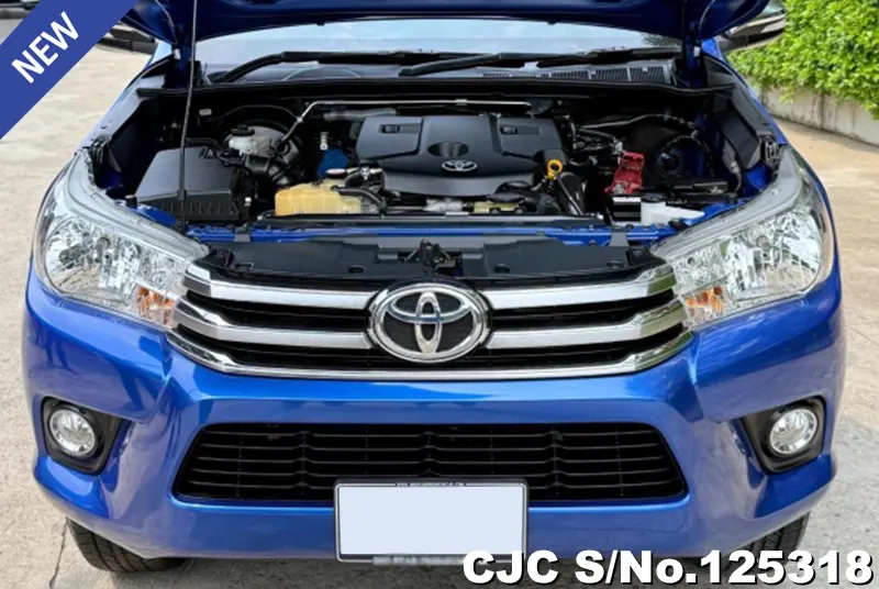 Toyota Hilux in Blue for Sale Image 11