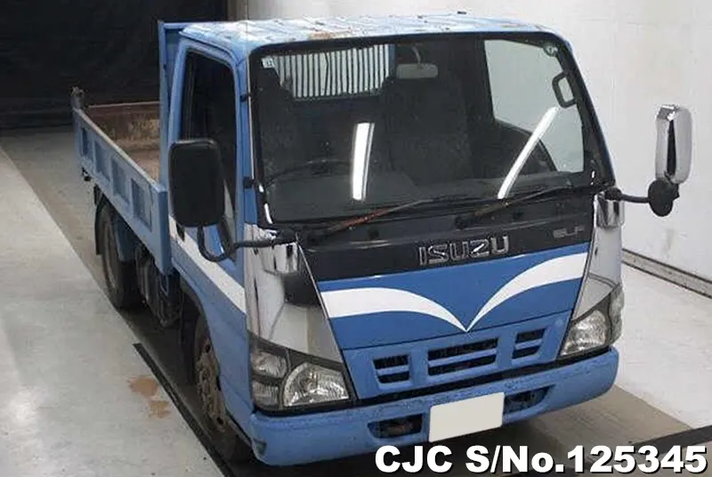 Isuzu / Elf 2006