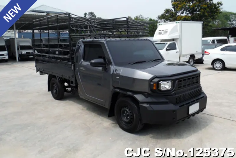 Toyota / Hilux / Champ 2024