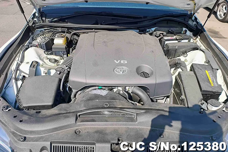 Toyota Mark X in White for Sale Image 14