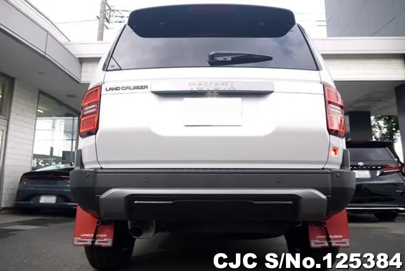 Toyota Land Cruiser 250 in Silver for Sale Image 3