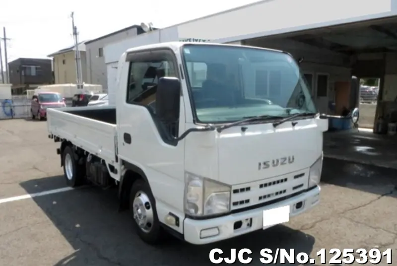 Isuzu / Elf 2010