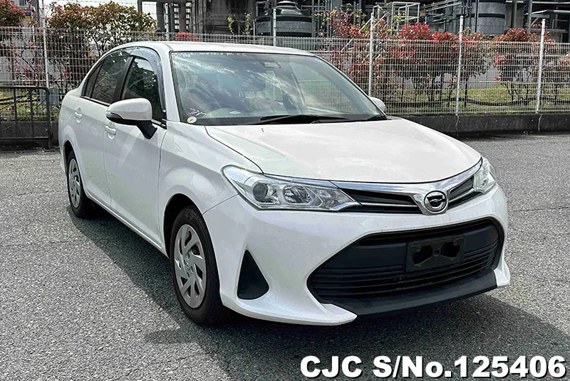 Toyota / Corolla Axio 2019