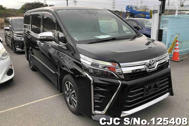Toyota / Voxy 2019