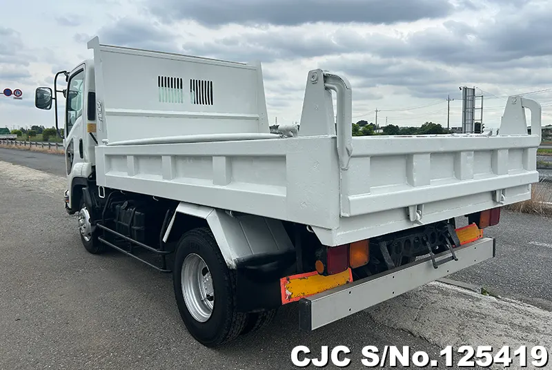 2010 Isuzu / Forward Stock No. 125419