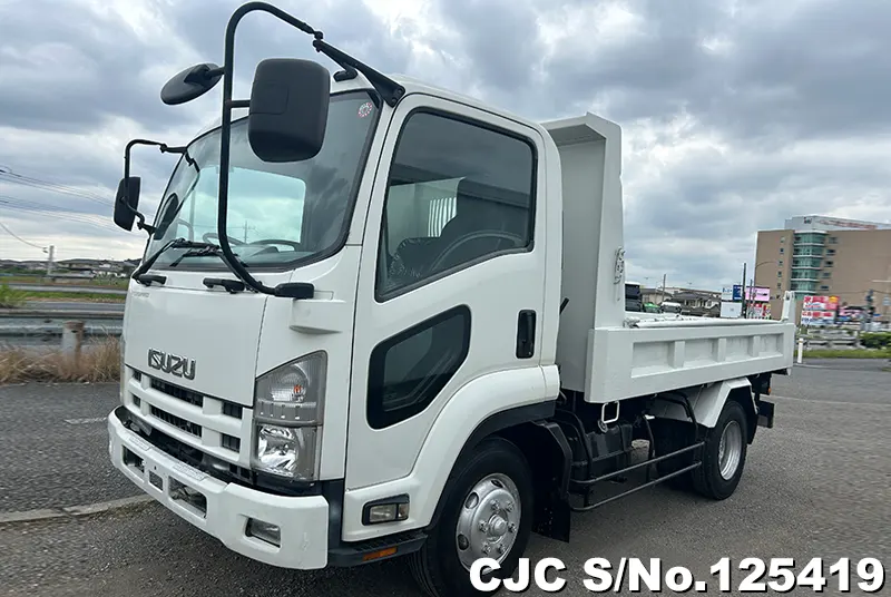 2010 Isuzu / Forward Stock No. 125419