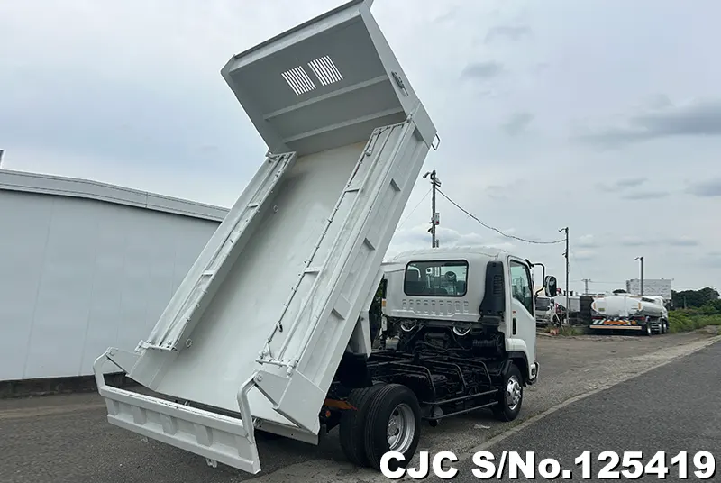 2010 Isuzu / Forward Stock No. 125419