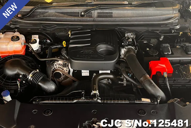 Ford Ranger in Black for Sale Image 11