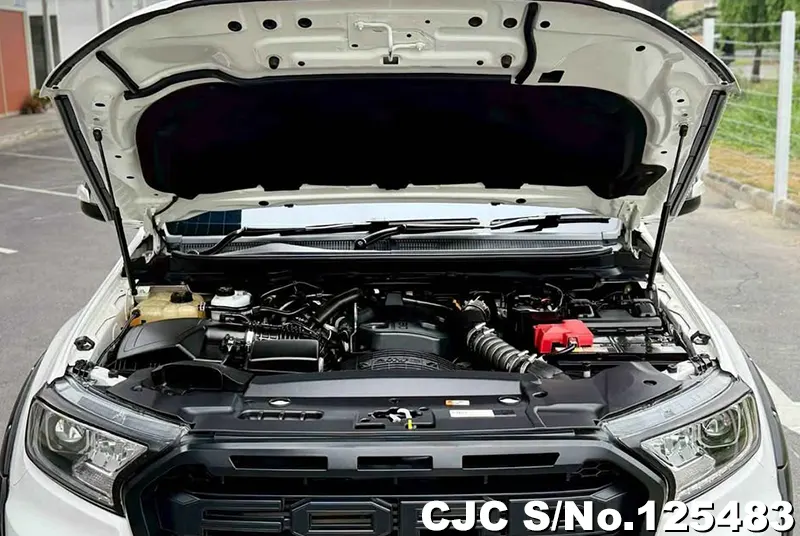 Ford Everest in White for Sale Image 17