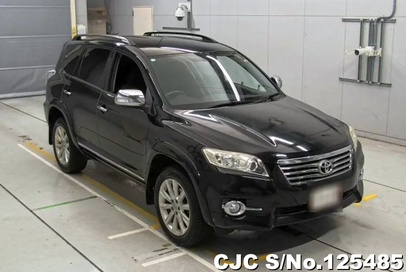 Toyota / Vanguard 2010