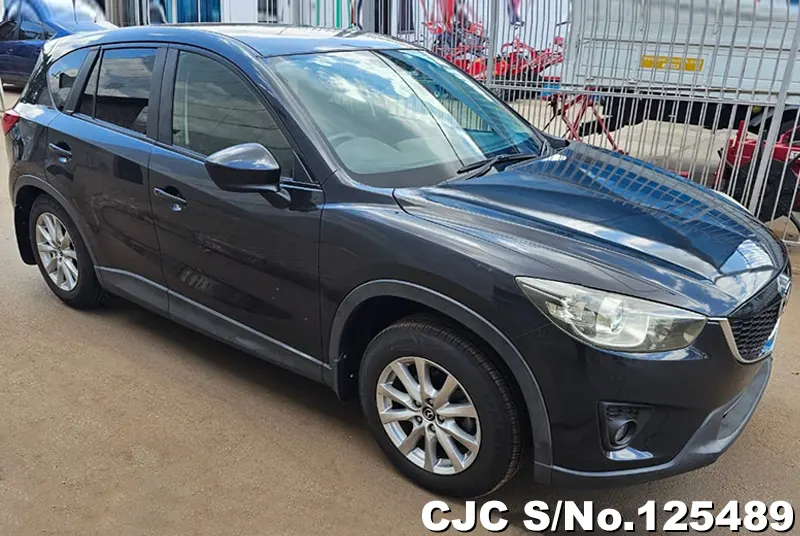 Mazda / CX-5 2012