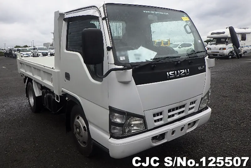 Isuzu / Elf 2006