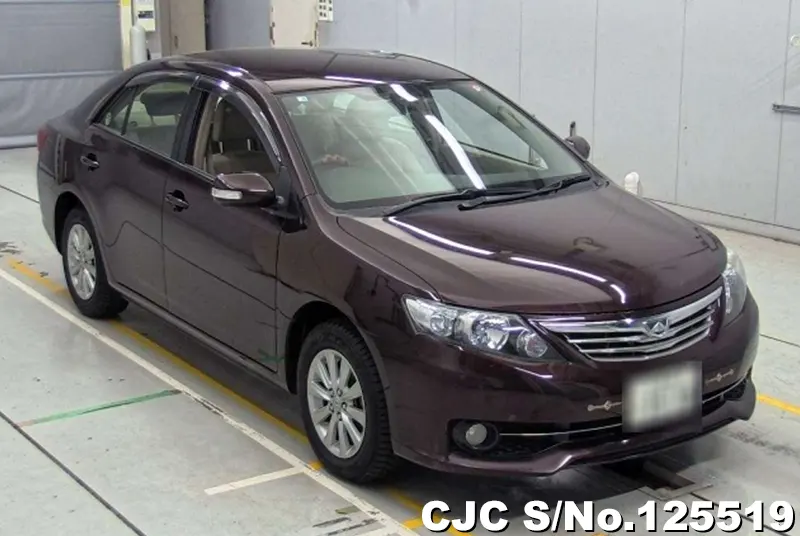 Toyota / Allion 2010