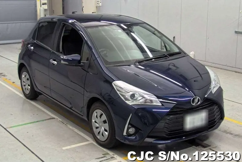 Toyota / Vitz 2019