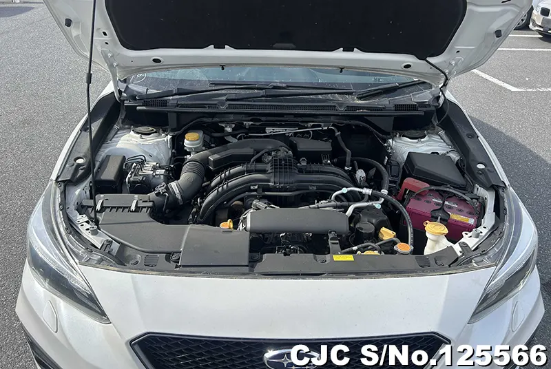 Subaru Impreza G4 in White for Sale Image 14