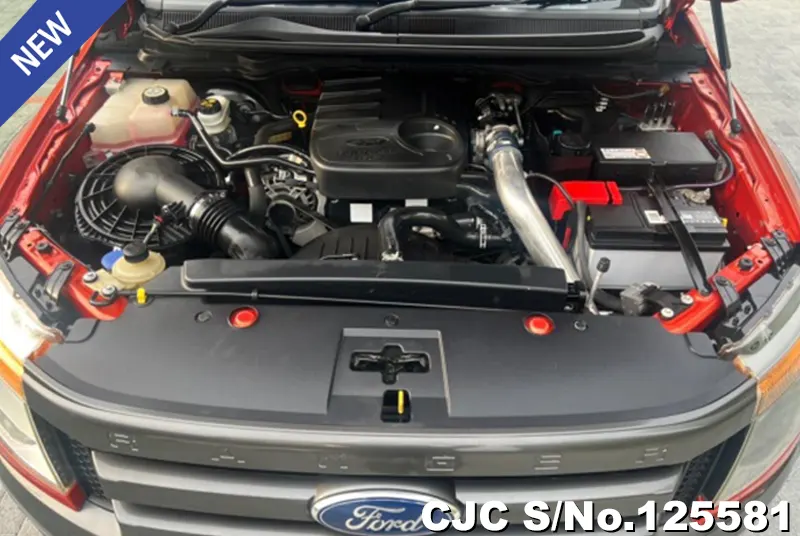 Ford Ranger in Red for Sale Image 12