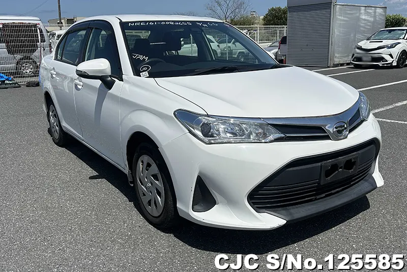 Toyota / Corolla Axio 2019