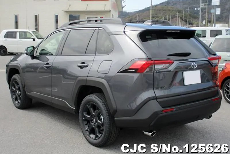 Toyota Rav4 in Gray for Sale Image 1