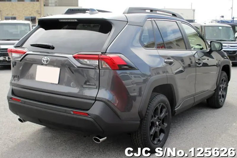 Toyota Rav4 in Gray for Sale Image 2