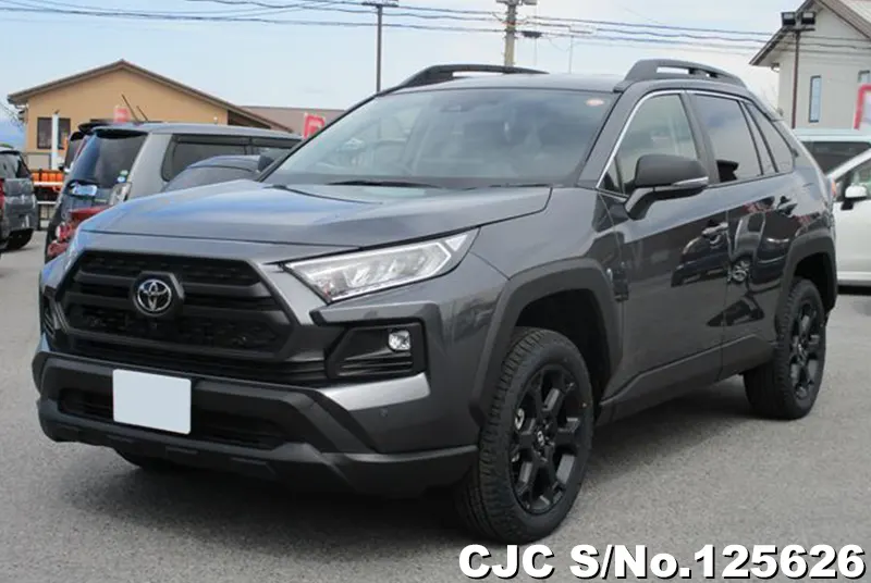 Toyota Rav4 in Gray for Sale Image 3