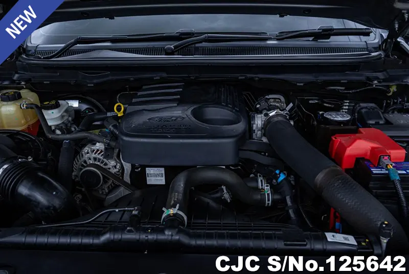 Ford Ranger in Gray for Sale Image 14