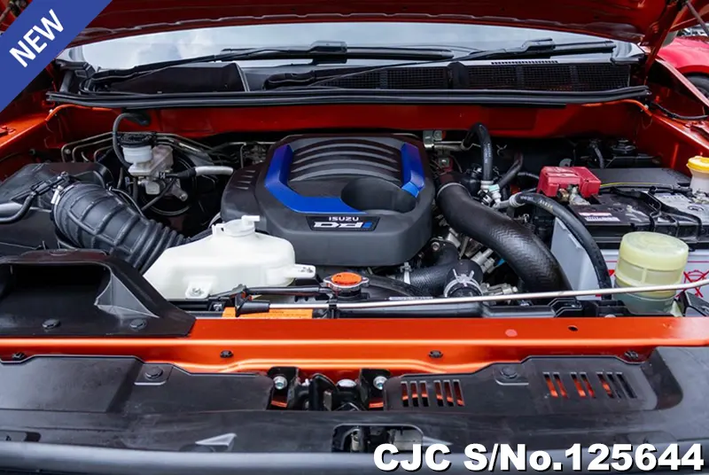 Isuzu D-Max in Orange for Sale Image 14