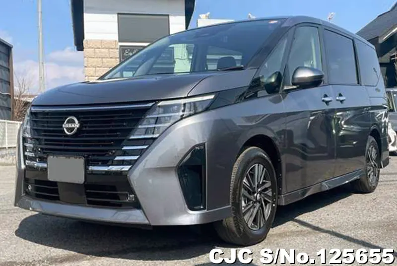Nissan Serena in Gray for Sale Image 3