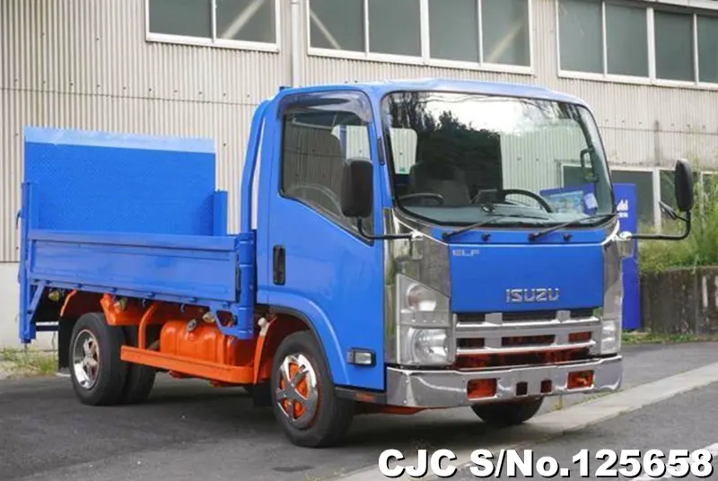 Isuzu / Elf 2010