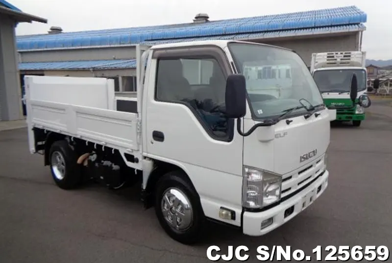 Isuzu / Elf 2013