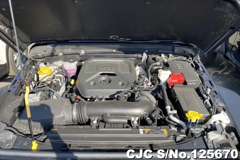 Jeep Wrangler in Black for Sale Image 7