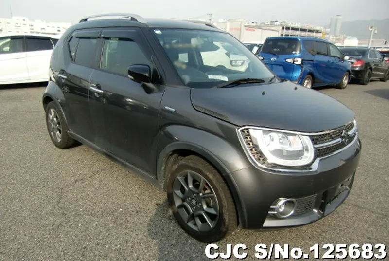 Suzuki / Ignis 2016