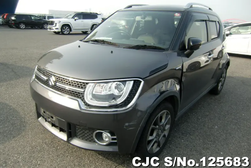 Suzuki Ignis in Gray for Sale Image 3